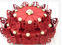 인생에서 CO2 레이저 기계의 적용